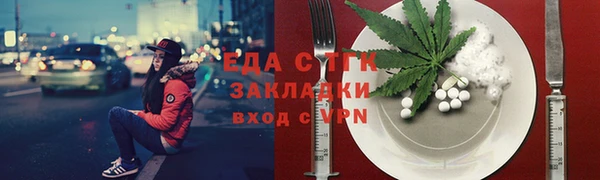 мдпв Каменка