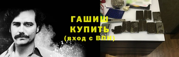 мдпв Каменка