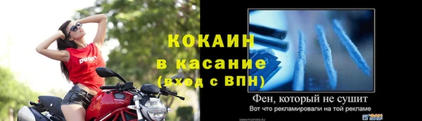 мдпв Каменка