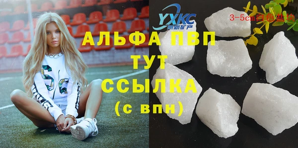 мдпв Каменка