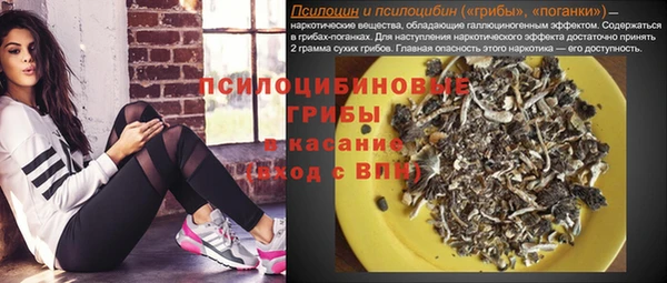 мдпв Каменка
