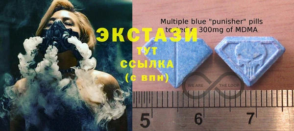 мдпв Каменка