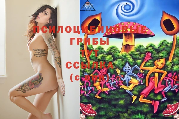 мдпв Каменка