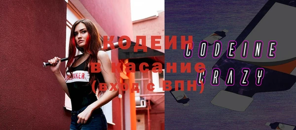 мдпв Каменка