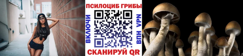 Купить где  Верещагино  Псилоцибиновые грибы MAGIC MUSHROOMS 